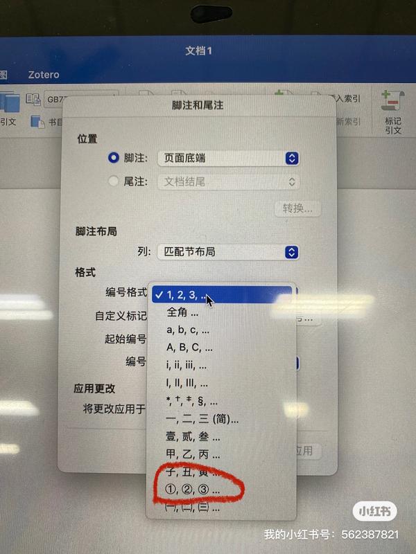  mac zotero 