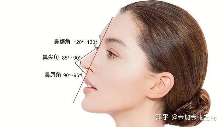 当鼻面角小于标准(30°-40°)时,基本是鼻尖没有太多翘度,显得鼻子