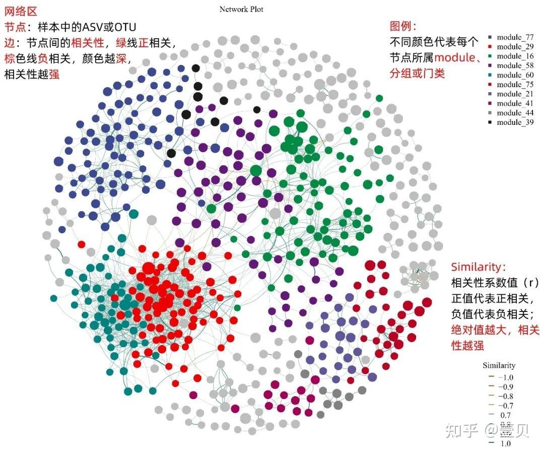 关联网络分析怎么看?怎么分析? - 知乎
