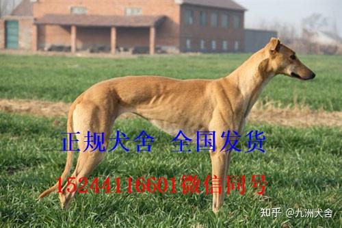 v2-6ab1f017132c1ec3d43993ae6af910c4_r.jpg