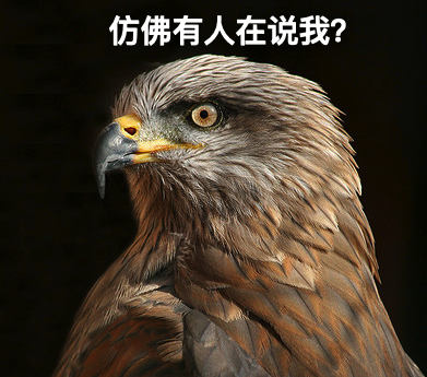 这可能不是什么好鸟,但是它的操作和名字颇值一提