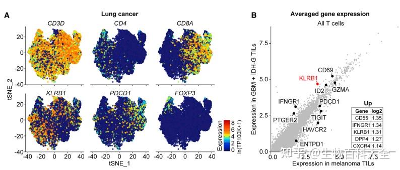 单细胞分析发现肿瘤新型免疫检查点--CD161 - 知乎