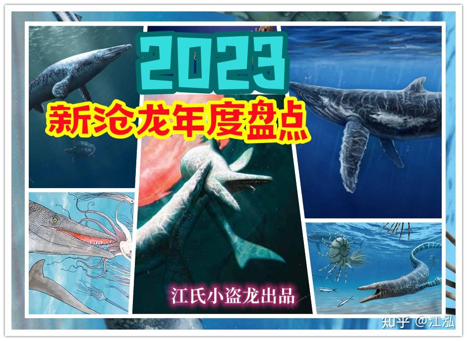 2023年新命名滄龍大盤點