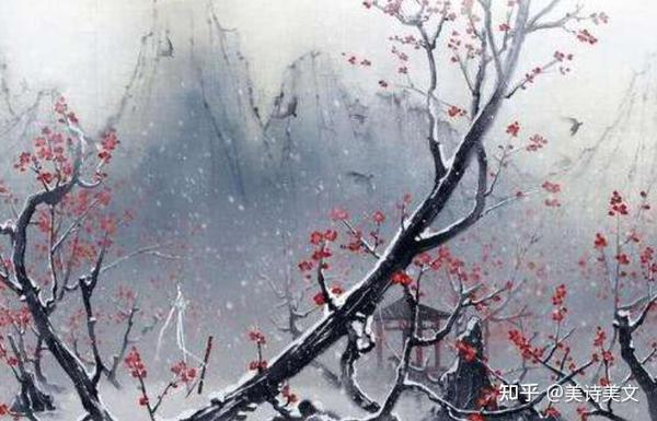 昙花梦
