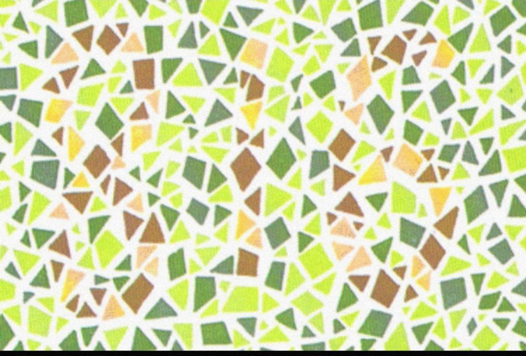 有色弱就不能开车吗这个算不算歧视