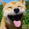 user-profile-image