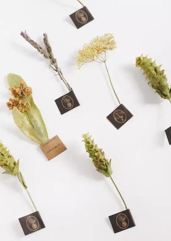 如何在家制作干花不变色 v2-6ad7c70a5e9b57a213e4e84bd7cbef54_r.jpg