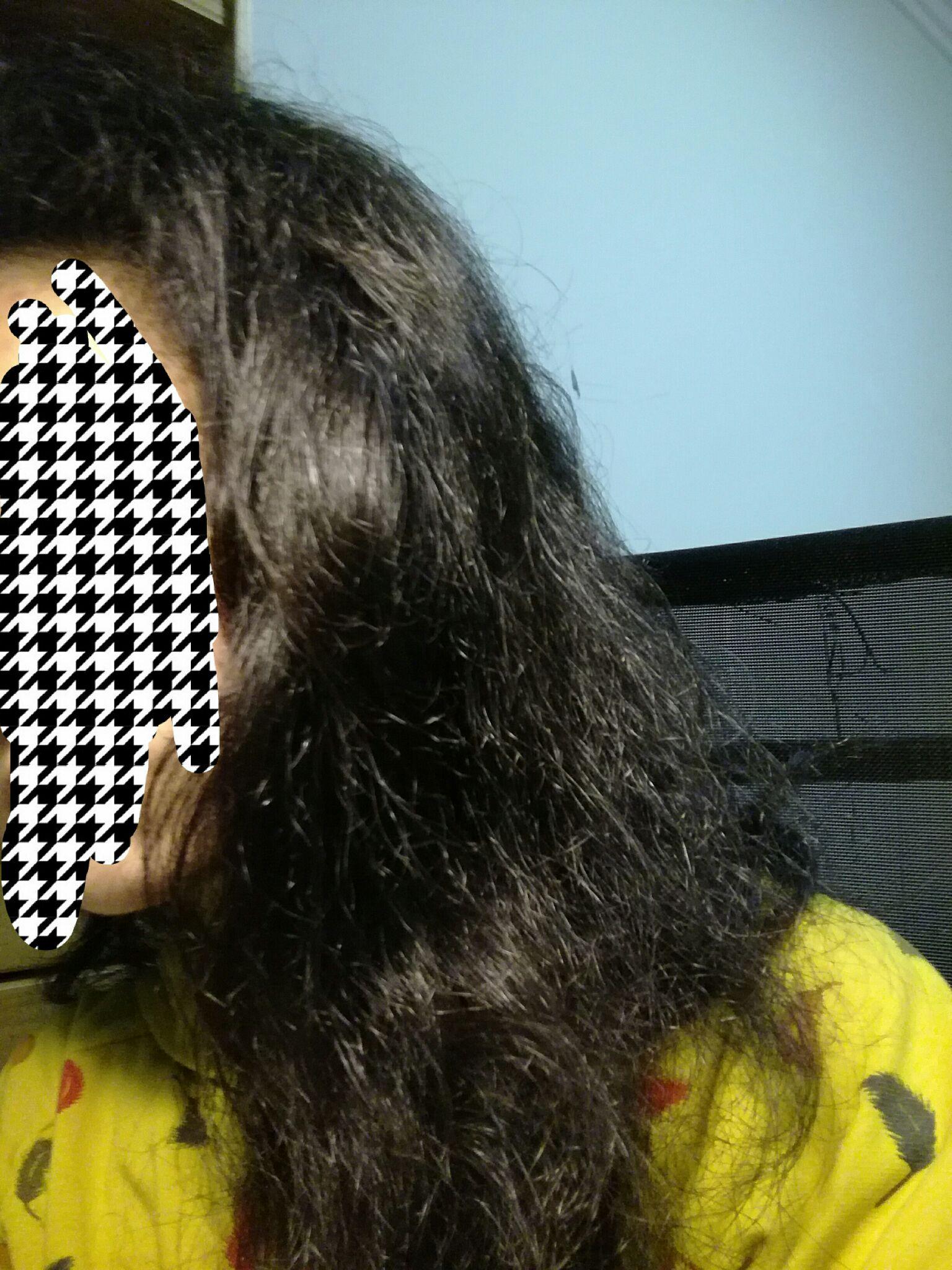 头发容易炸毛是一种怎样的体验?