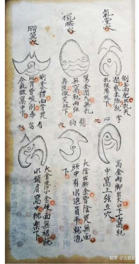 风水阳宅古籍《体用相需骑龙穴法与阳宅指南》