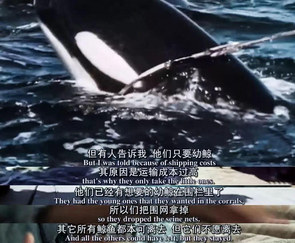 求求你，不要让我表演了” - 知乎