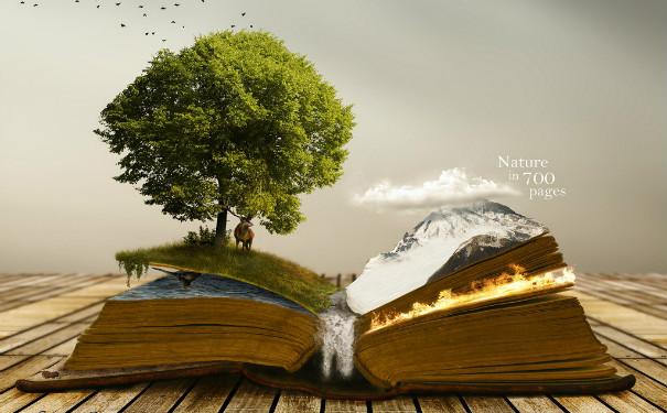 【中西方文化差异论文】值得推荐的论文选题 - 知乎