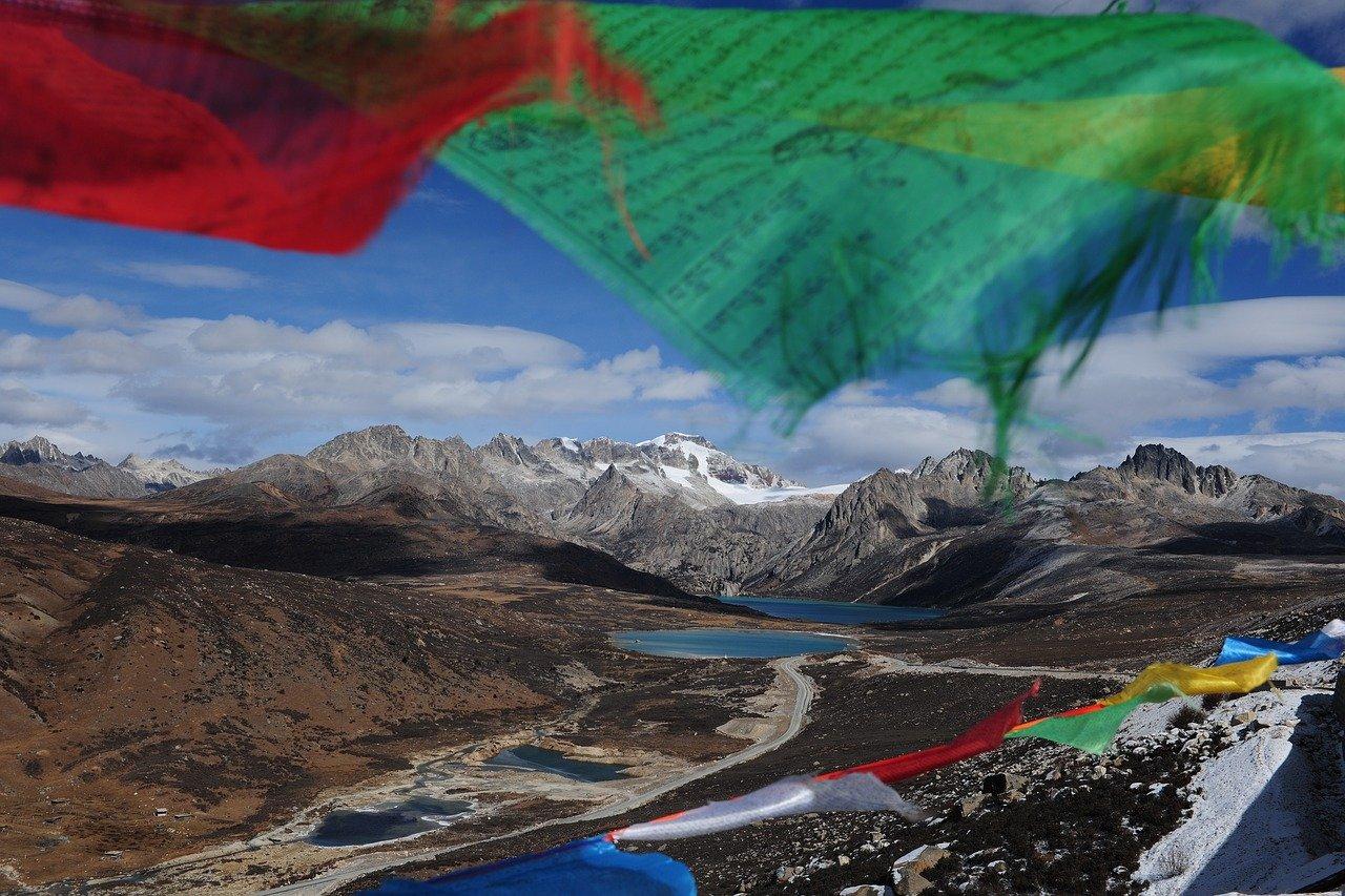 3. 龙井户型鉴赏