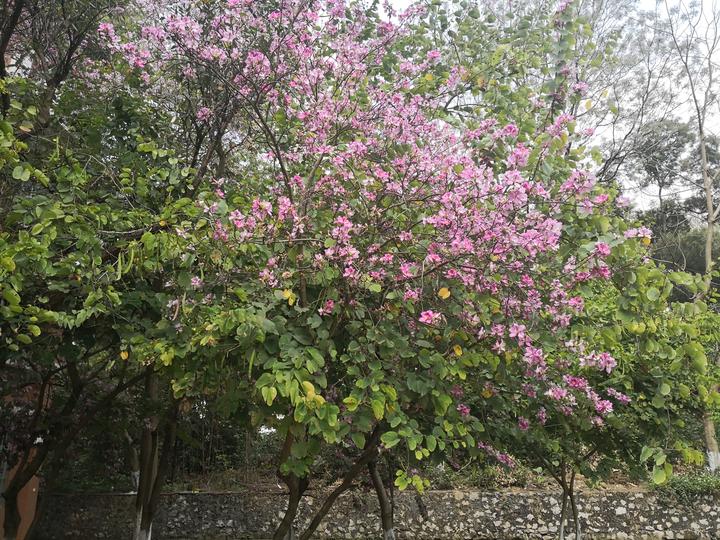赞!全英文数学试卷难不倒高一学子 - 知乎