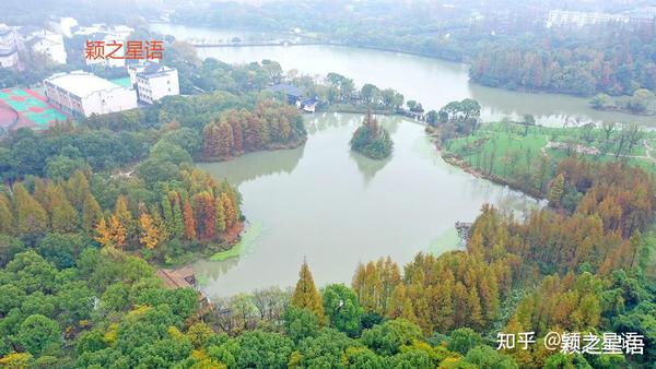 慈孝之源，慈溪之根，就在这座千年古城 知乎