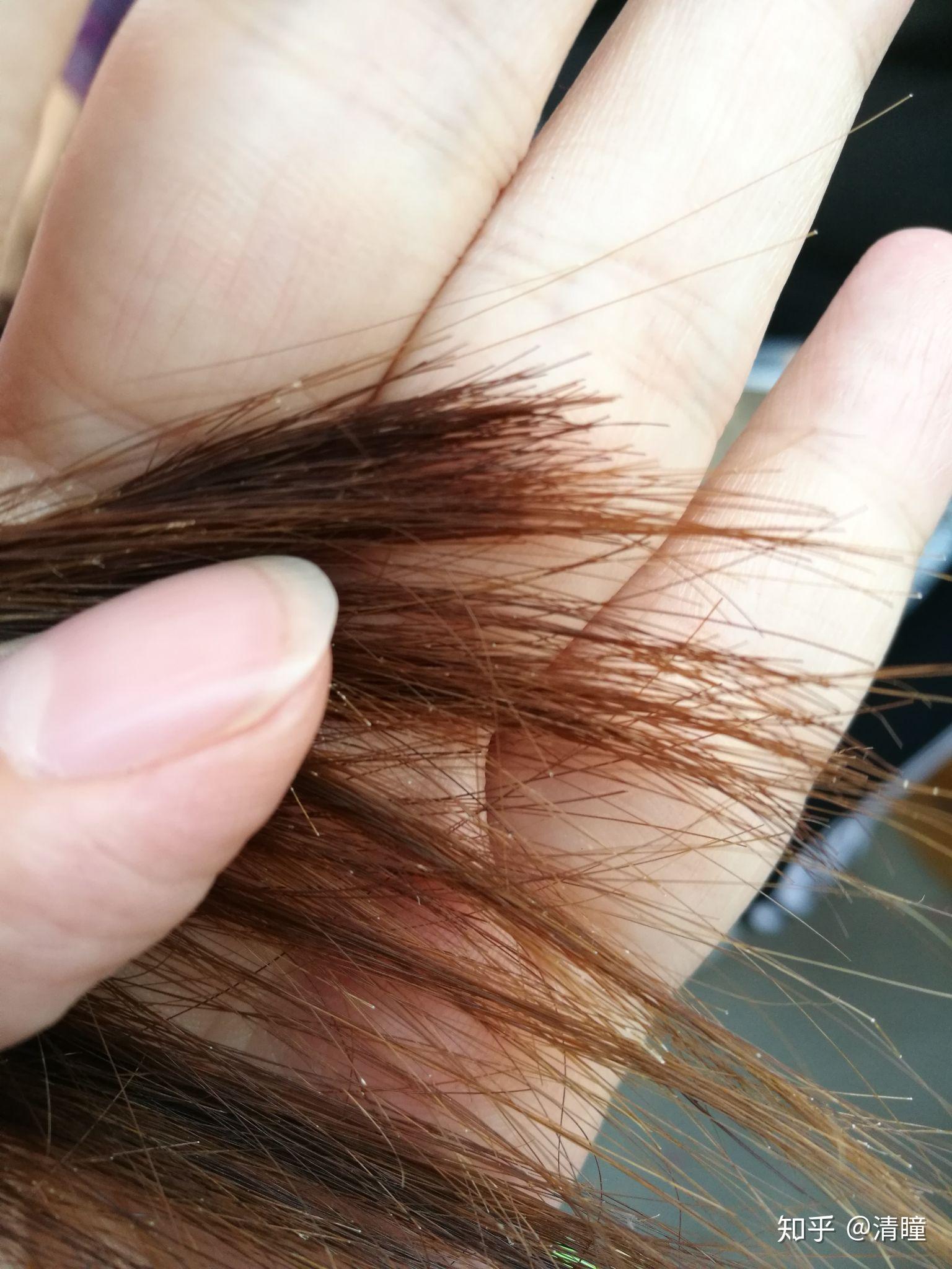 一根头发可以分叉成什么样