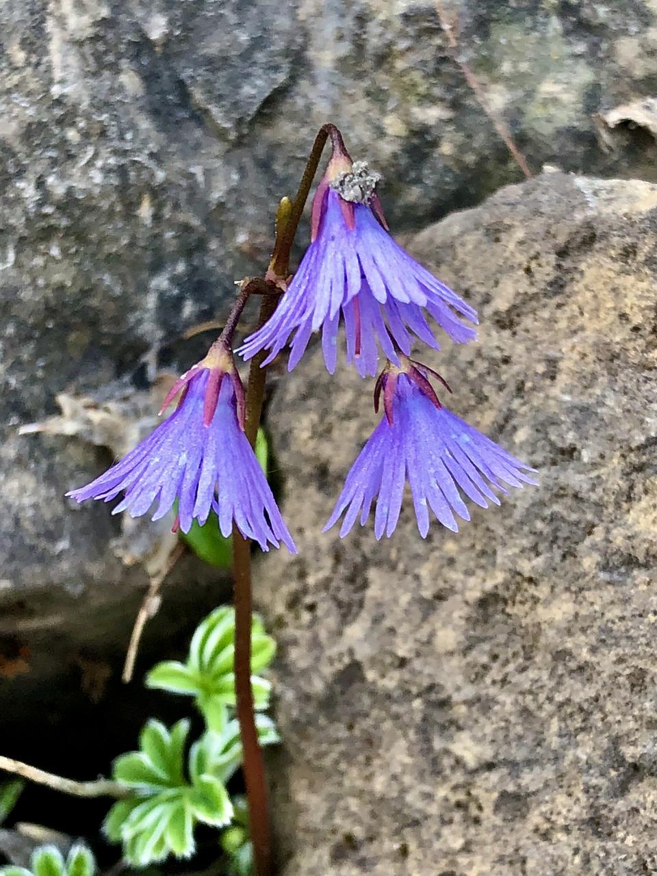 4. 交通便捷分析