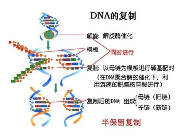 知乎专栏