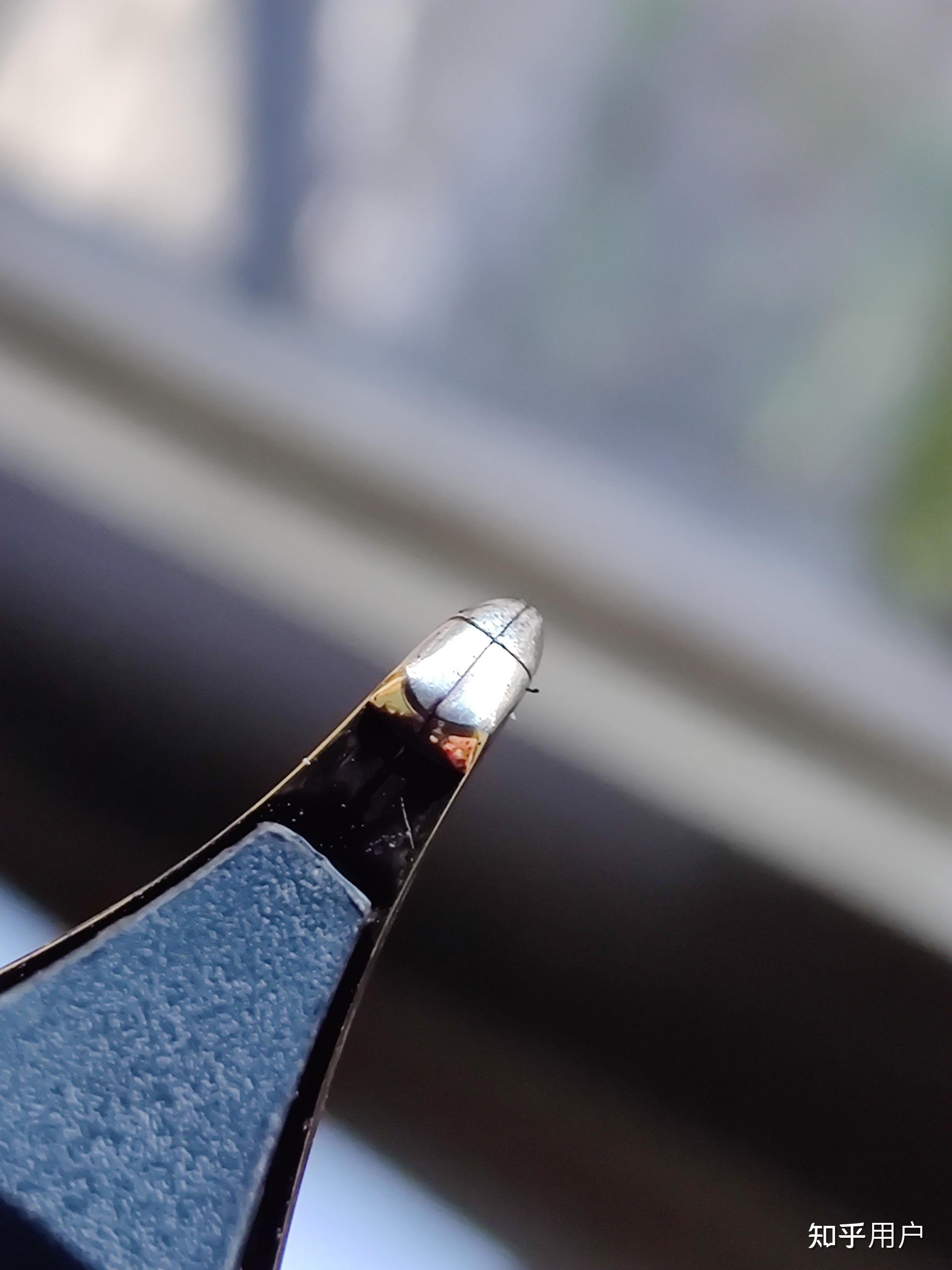 b站知名up主香矢车菊的钢笔打磨的怎么样? - 知乎