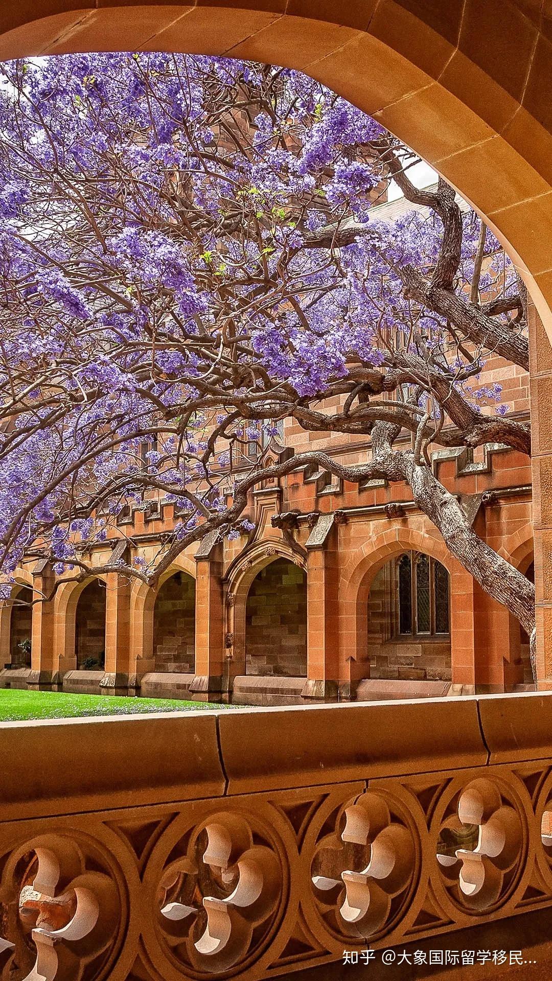 澳洲八大院校悉尼大學介紹theuniversityofsydney