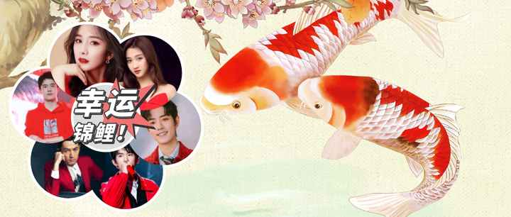 加油!李健,胡歌,杨幂,李雪琴,肖战…原来他们都是隐藏的学霸!厉害了!