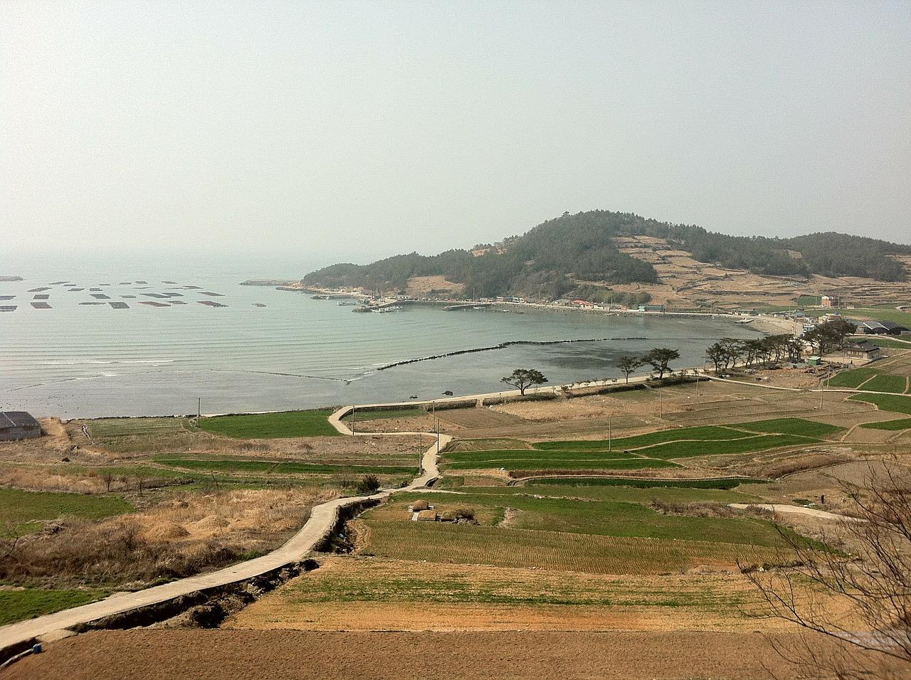 长垣太极原乡多少钱