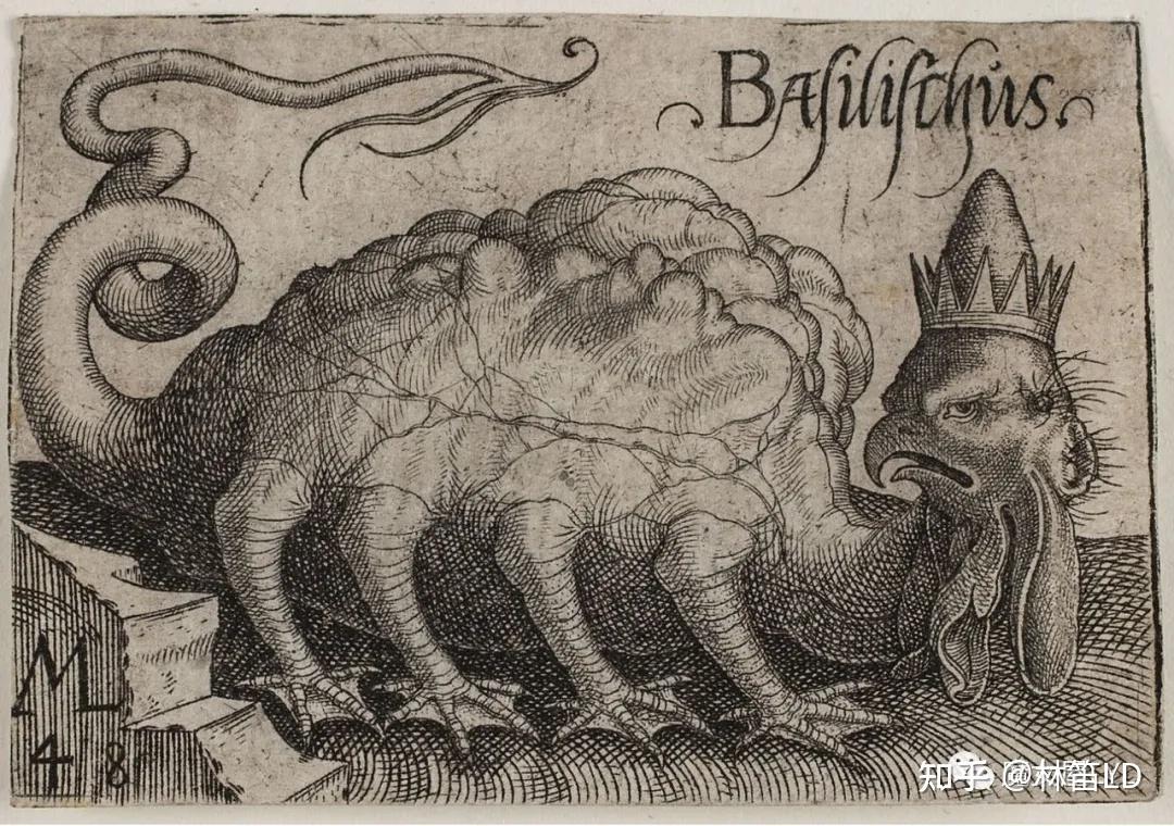 神话生物：巴西利斯克 basilisk——到底是蛇还是鸡？ - 知乎