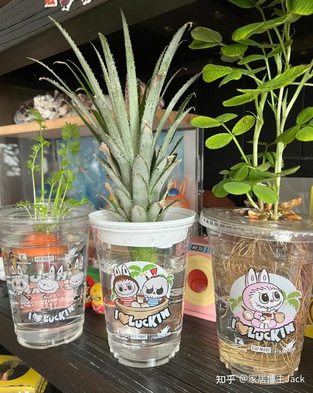 喝完的奶茶杯别扔!学会10个改造妙招,能变废为宝,比买的都好用 - 知乎