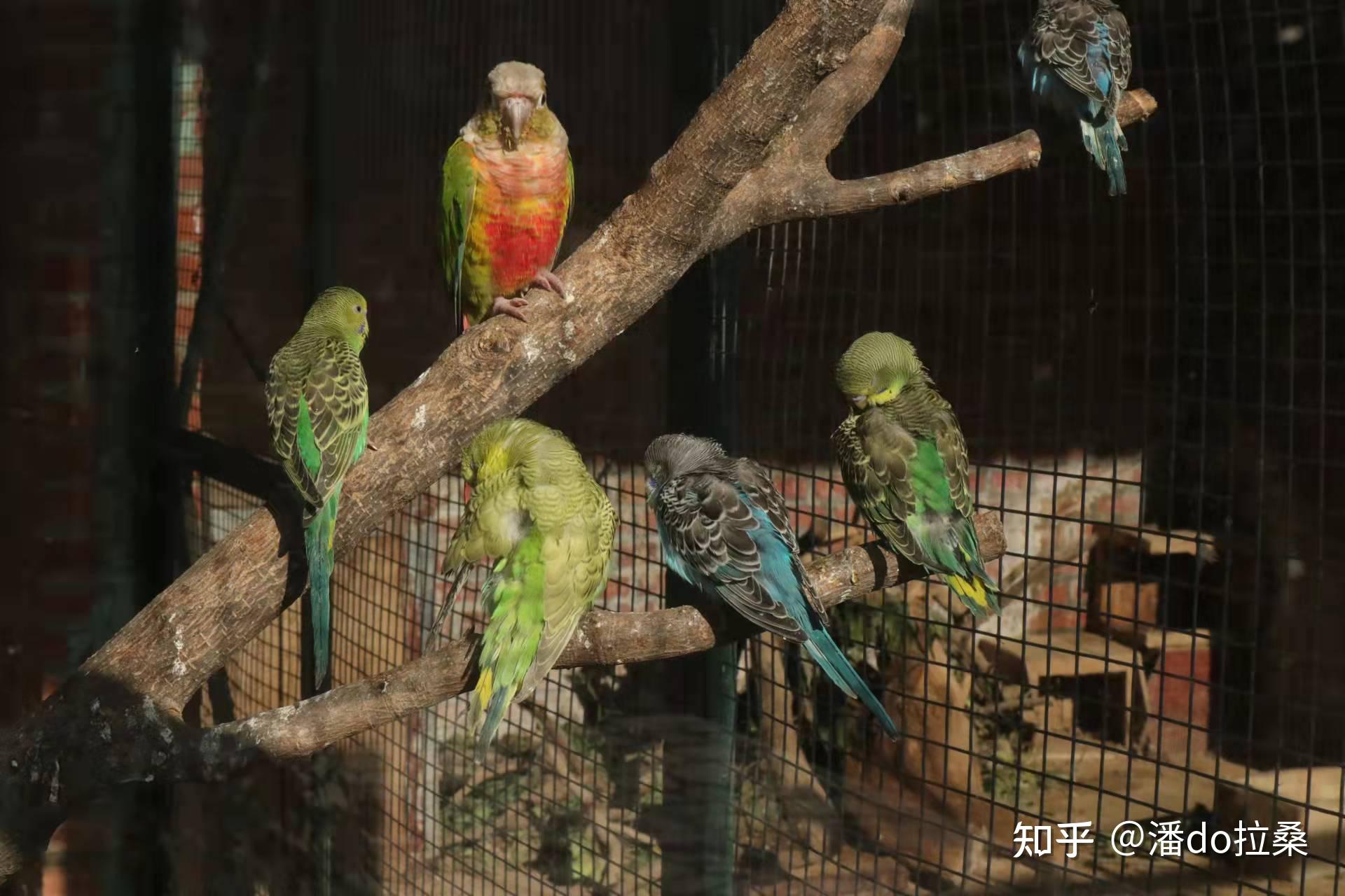 青岛黄岛野生动物园评价怎么样适合周末带孩子去吗