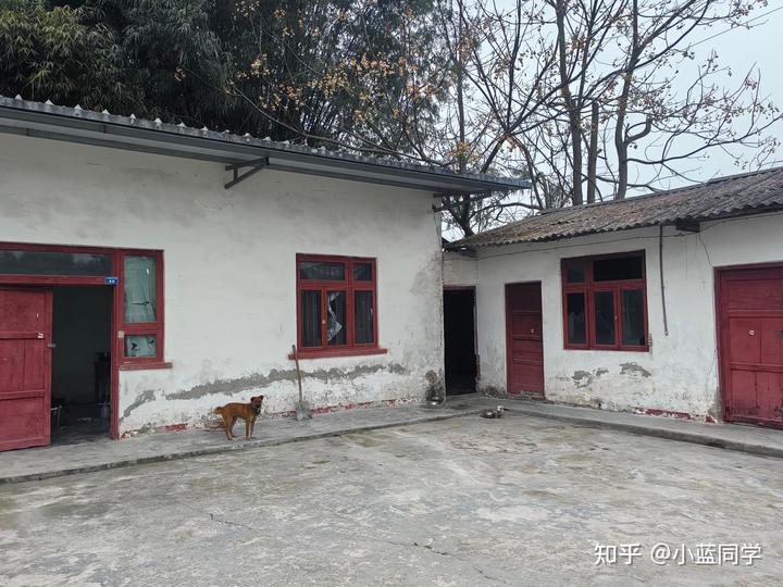 人，可以废物到什么程度？