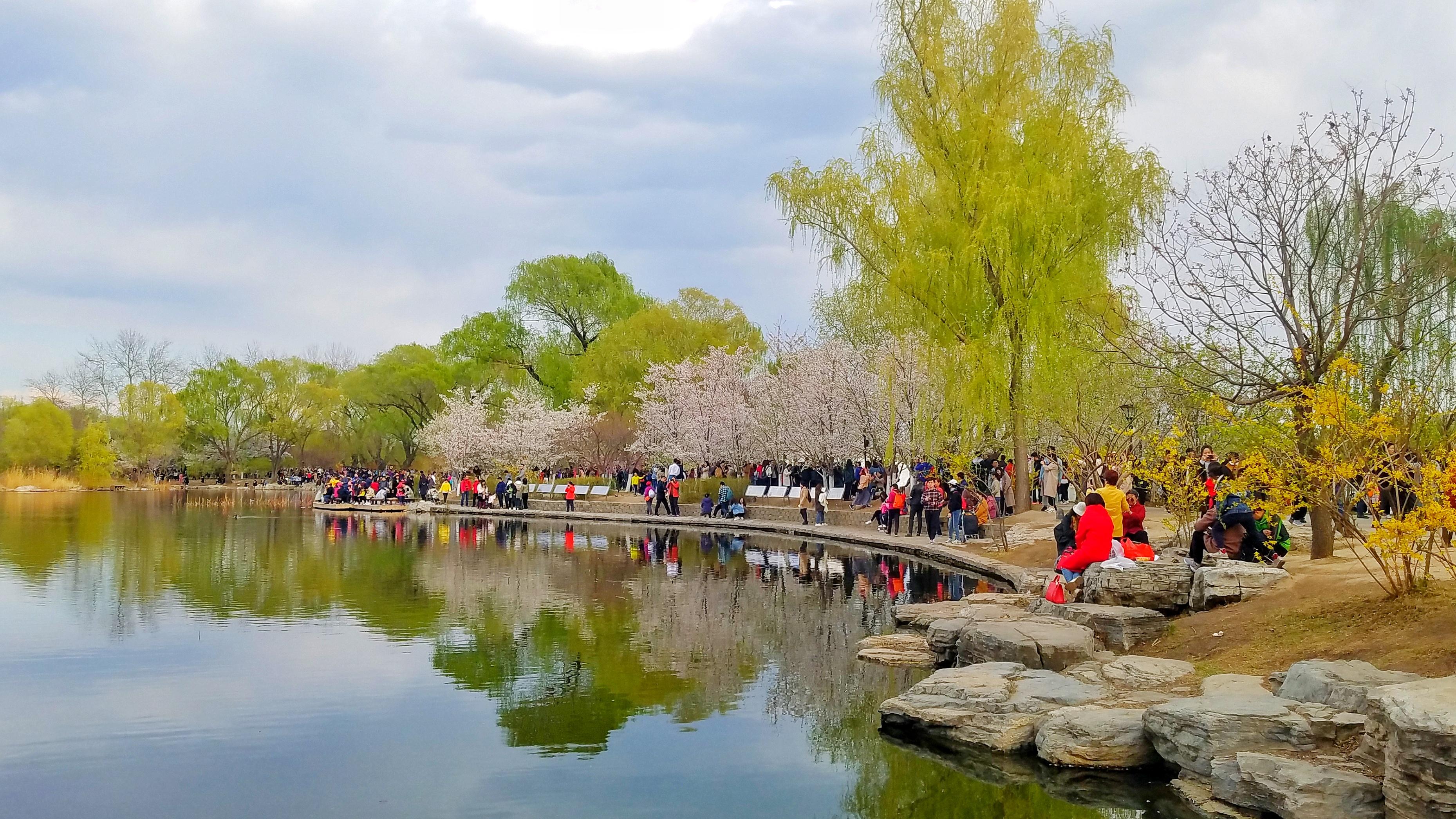 北京：玉渊潭公园成花的海洋 美轮美奂