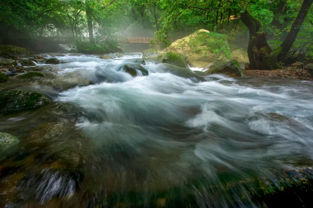 春游花海走林间,夏挽清风,秋赏枫姿疑画境——本溪老边沟风景区