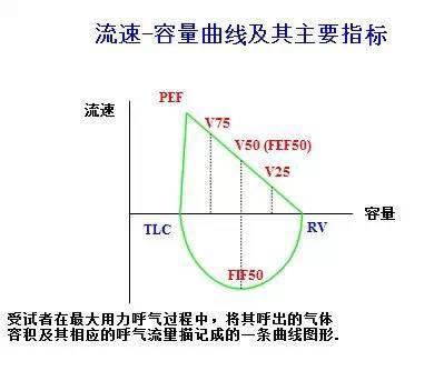 肺功能评估指标傻傻分不清