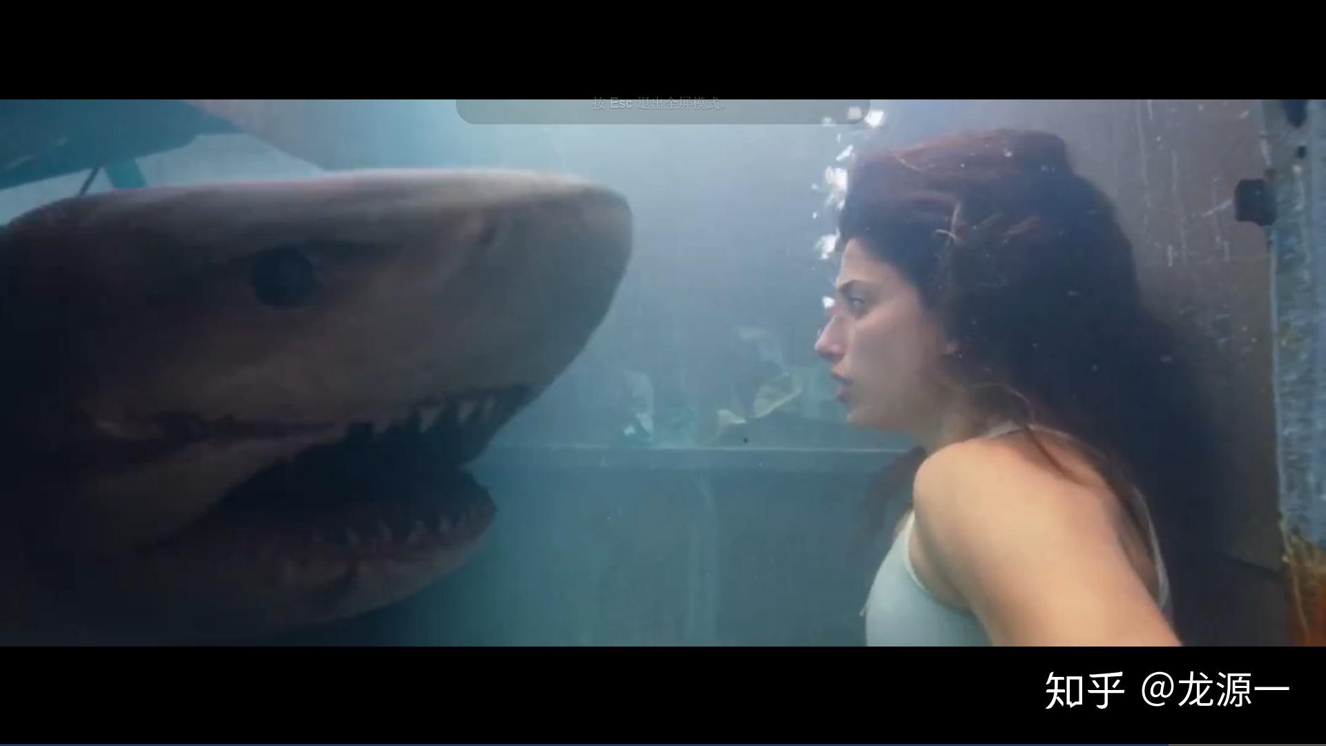 深海狂鲨电影图片