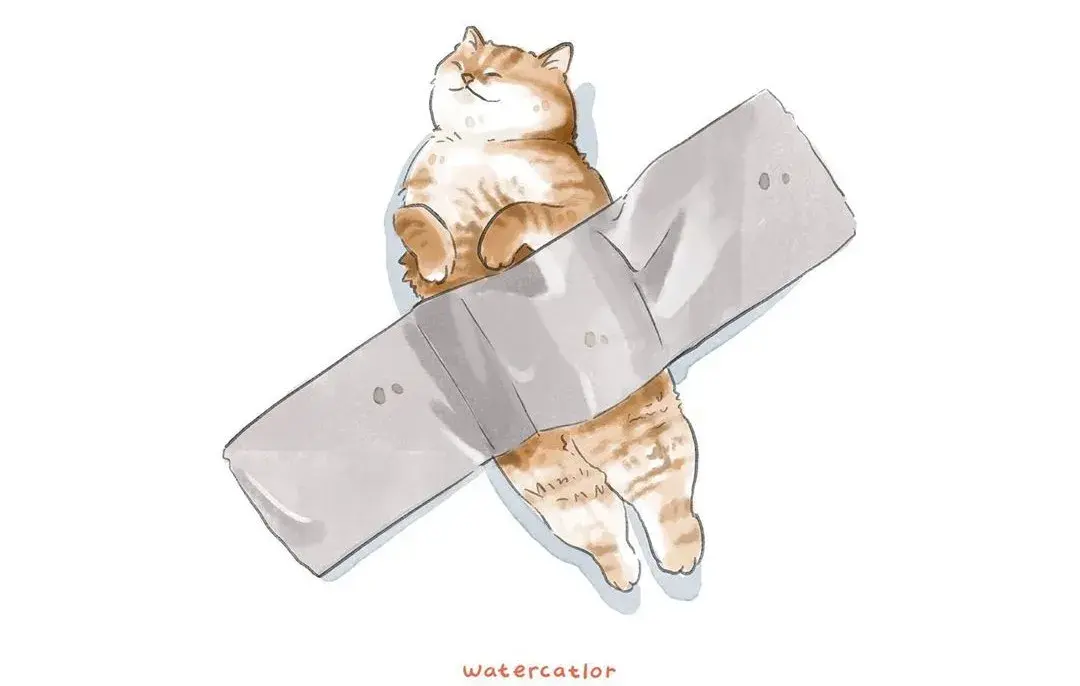 猫咪到底有多傻60张沙雕猫咪名场面告诉你原谅我不厚道的笑了哈哈哈哈