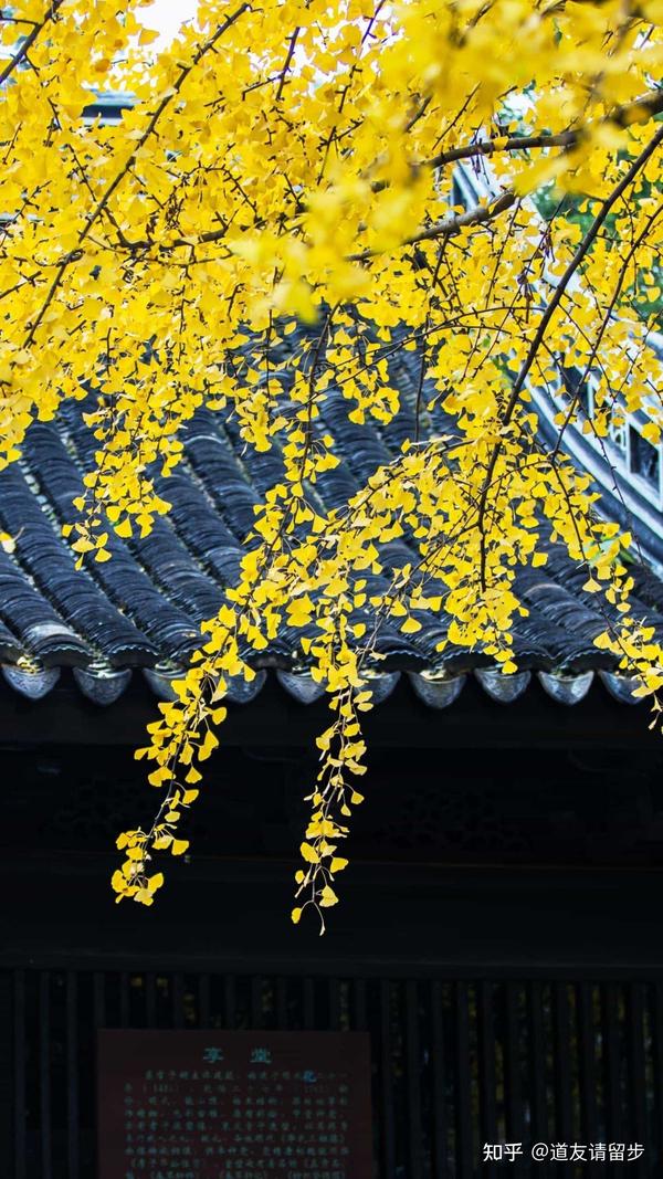 温柔的文案短句干净治愈(超级温柔干净的文案短句)