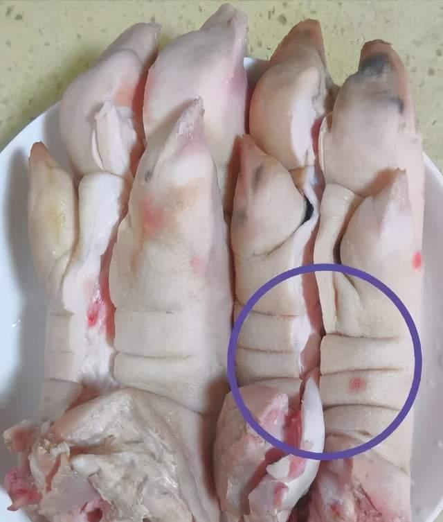 猪脚怎么砍下来 v2-6bc896180198b35b293f94ef3f64c65c_r.jpg