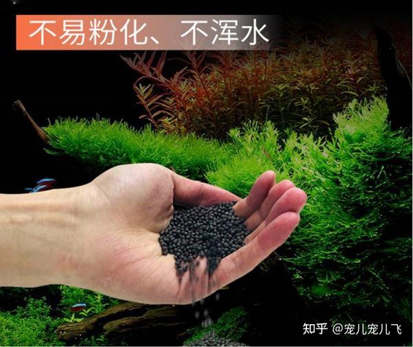 水草 短鲷_水草玛瑙和水草玉髓_南美短鲷喜欢水草