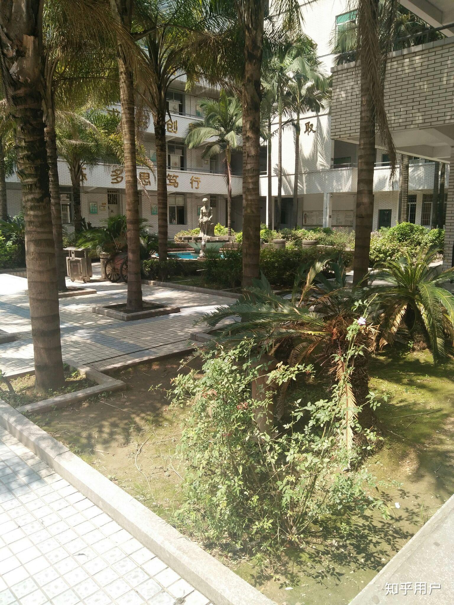 福建省福州鼓山中学如何