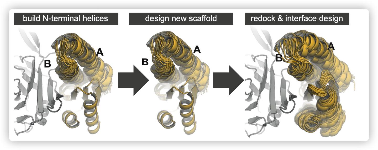 基于beta折叠片延伸的denovo蛋白设计 知乎