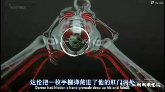 太重口被叫停！1000种死法，纪录片版死神来了 - 知乎