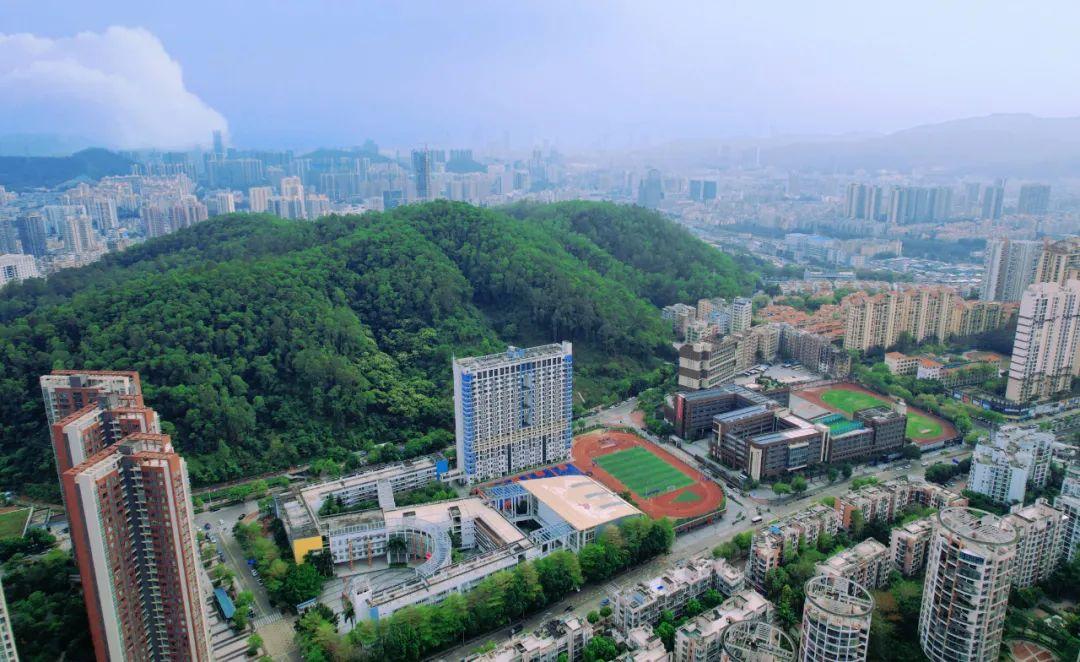 校园文化节登上山顶的路不止一条深圳市承翰学校入选