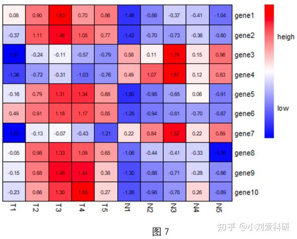 R语言——使用pheatmap包绘制热图过程详解 知乎