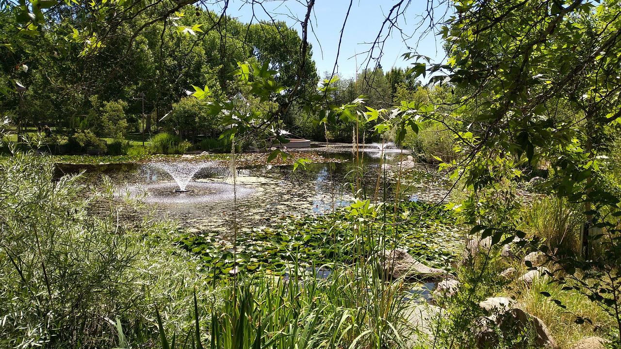 物业管理水平高吗