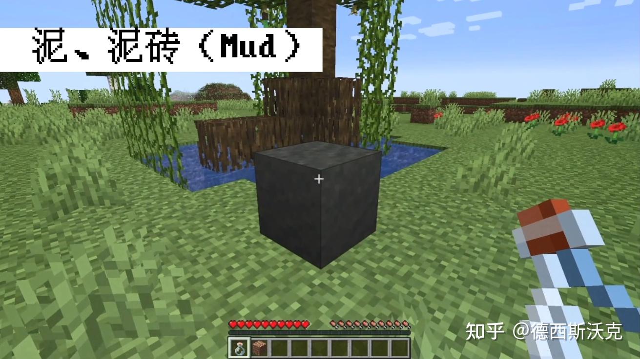 荒野更新来了！我的世界1.19：箱船、青蛙、蝌蚪、萤火虫、泥砖等 - 知乎