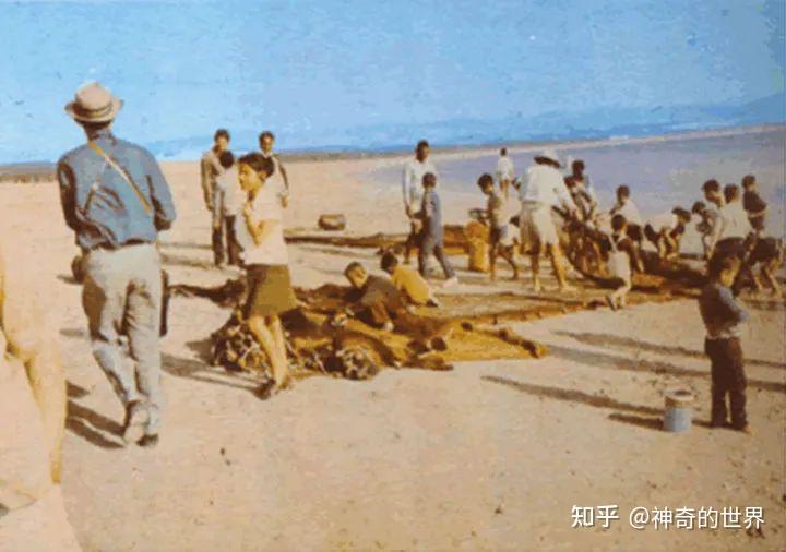 关于推罗的预言应验了吗 - 知乎
