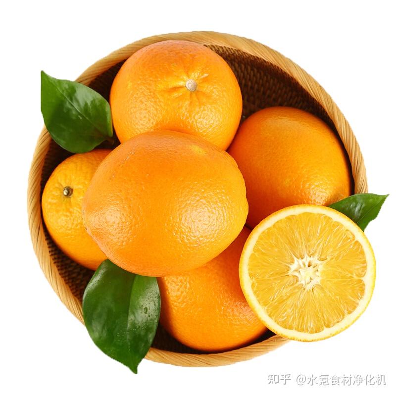 橙子怎么选? - 知乎