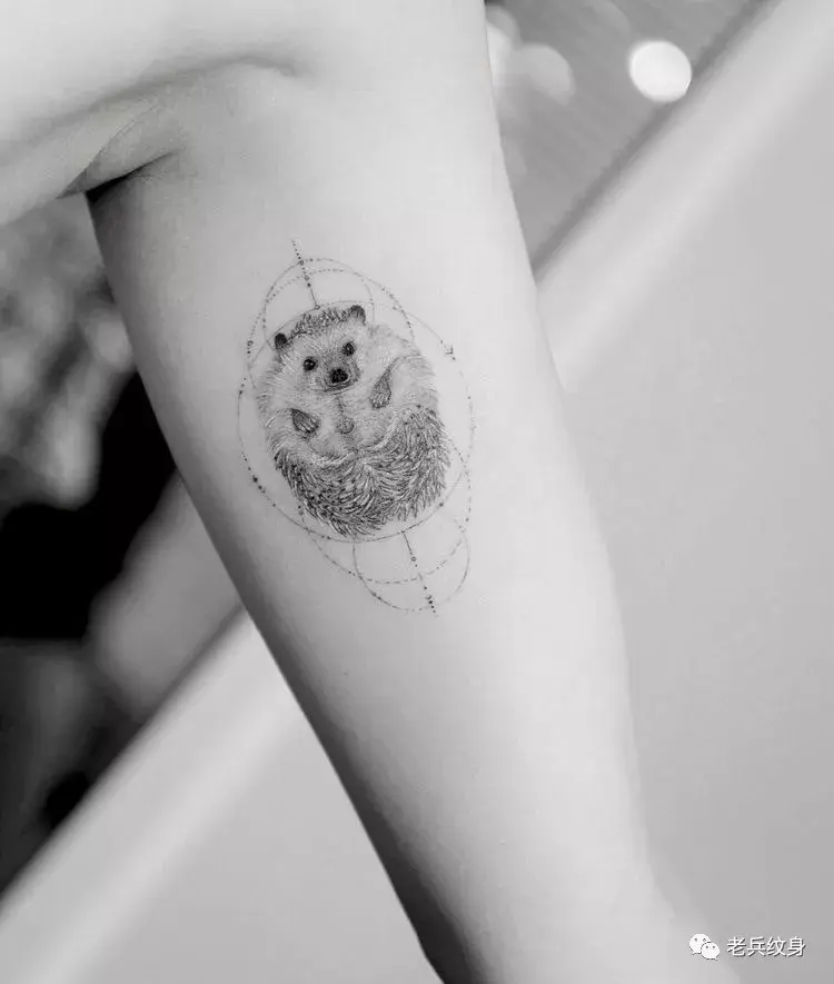 纹身素材——刺猬纹身素材 - 知乎