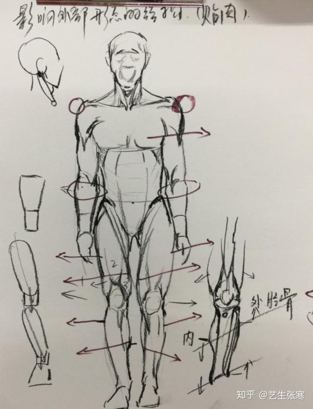 速写真经第二式骨与肉