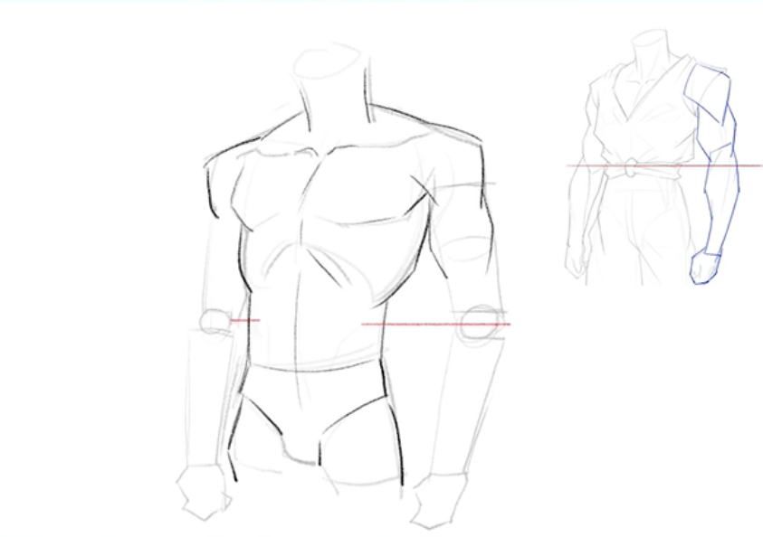 干货教程动漫人物的手臂肌肉上色该怎么画