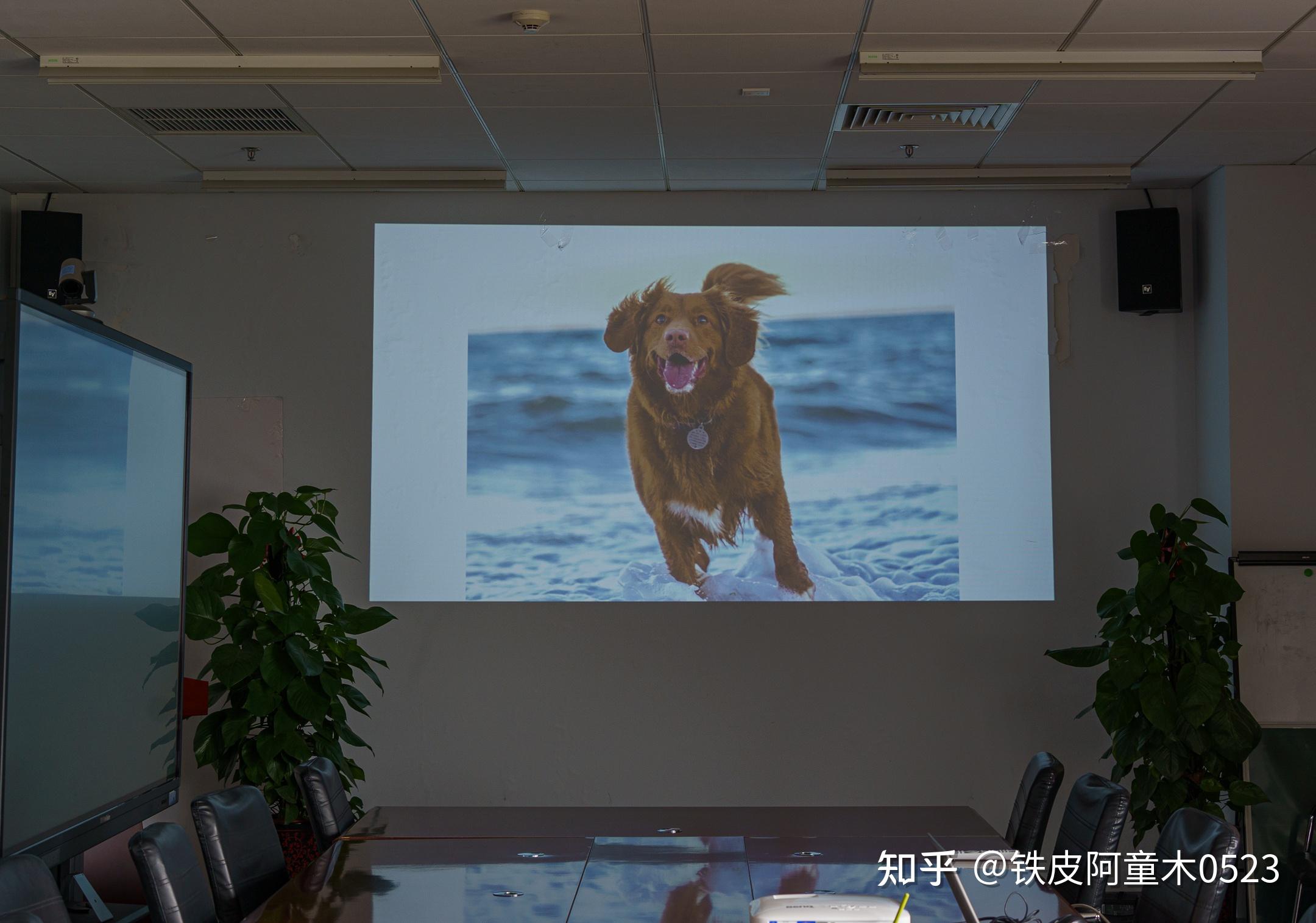 超亮大尺寸投屏,效率更翻倍!benq 明基e520商用投影仪体验